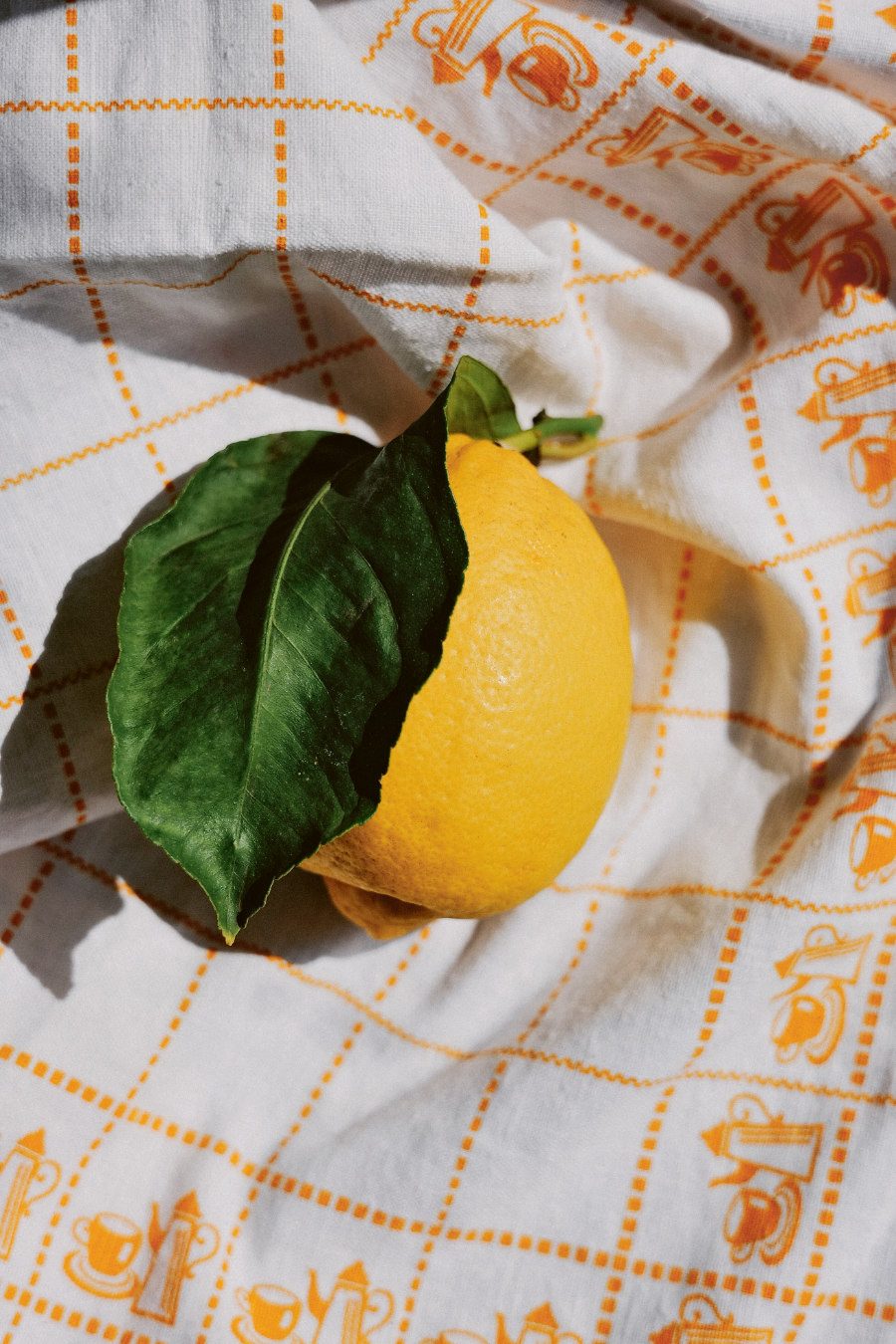Amore al Limone: Letitia Clarks Zitronenliebe gibt Stoff für ein ganzes Kochbuch. Foto © Charlotte Bland/ZS Verlag